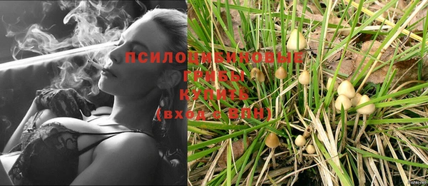 дживик Верея