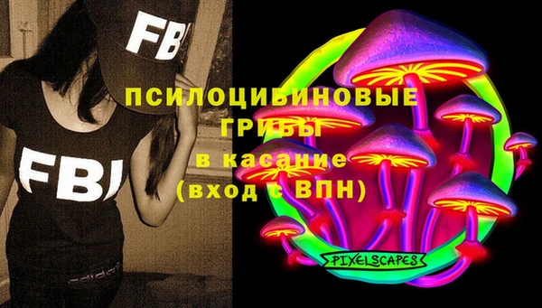 дживик Верея
