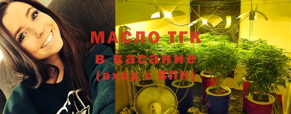 мдпв Верхний Тагил