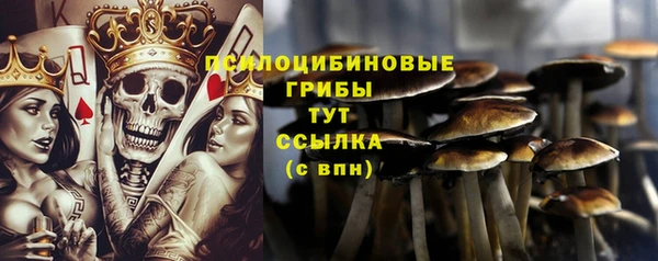 мдпв Верхний Тагил